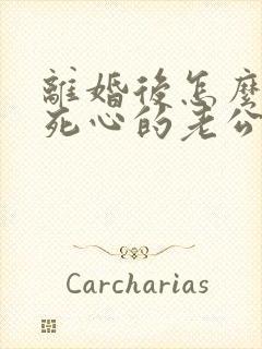 离婚后怎么挽回死心的老公