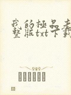 我的极品老婆完整版txt下载