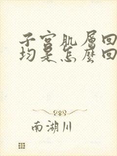 子宫肌层回声欠均是怎么回事