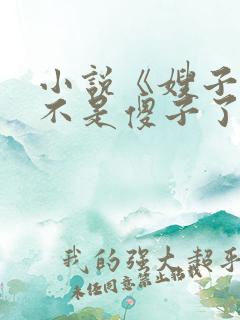 小说《嫂子我真不是傻子了叶凡》