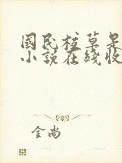 国民校草是女生小说在线收听