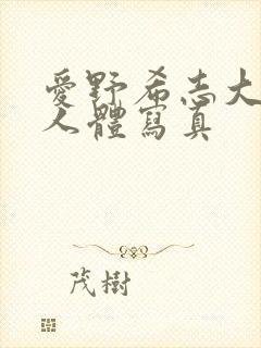 爱野希志大尺度人体写真