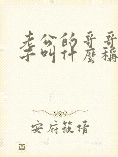 老公的哥哥的儿子叫什么称谓