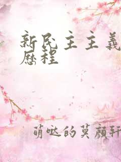 新民主主义革命历程