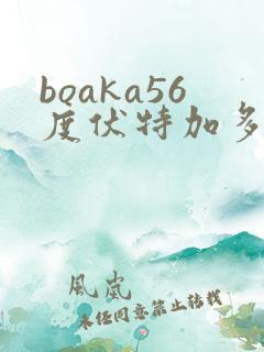boaka56度伏特加多少钱一瓶