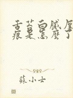 舌苔白腻厚有齿痕是怎么了