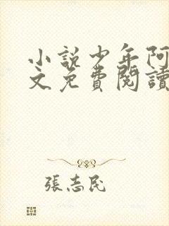 小说少年阿斌全文免费阅读