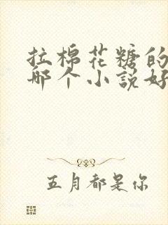 拉棉花糖的兔子哪个小说好看