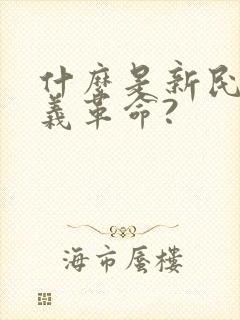 什么是新民主主义革命?