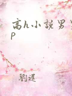 高h小说男男np