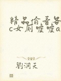 精品偷看各类wc女厕嘘嘘av