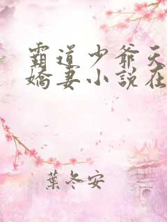 霸道少爷天才小娇妻小说在线阅读全文