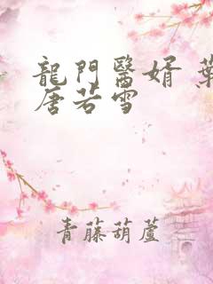 龙门医婿 叶凡唐若雪