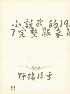 小说我的1987完整版未删减小说