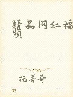 精品网红福利视频