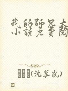 我的师兄太稳健小说免费阅读