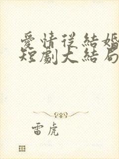 爱情从结婚开始短剧大结局