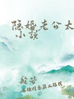隐婚老公太神秘 小说