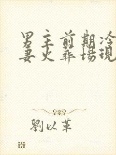 男主前期冷淡追妻火葬场现言