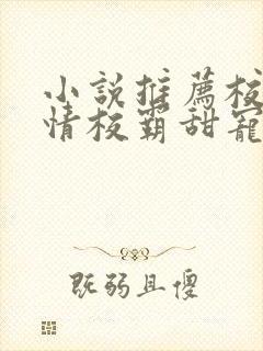 小说推荐校园言情校霸甜宠