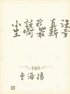 小说我真没想重生啊最新章节