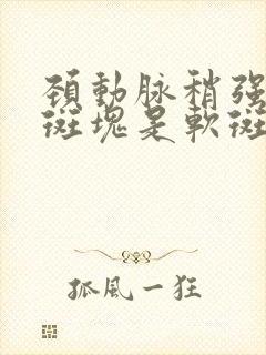 颈动脉稍强回声斑块是软斑还是硬斑块