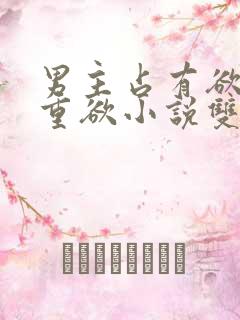 男主占有欲强且重欲小说双男主