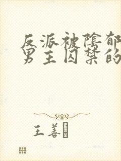 反派被阴郁疯批男主囚禁的小说