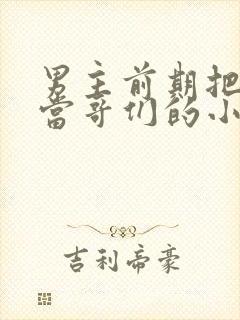 男主前期把女主当哥们的小说