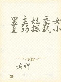 男主姓季女主姓夏的总裁小说