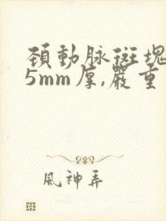 颈动脉斑块1.5mm厚,严重么