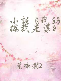 小说《我的冰山总裁老婆》