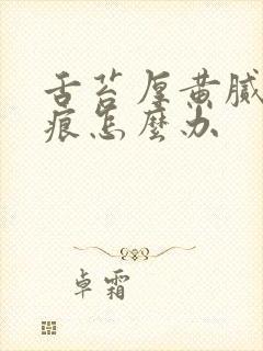 舌苔厚黄腻有齿痕怎么办