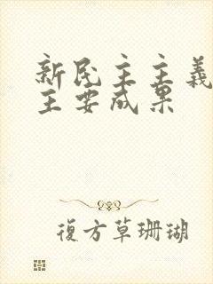 新民主主义革命主要成果