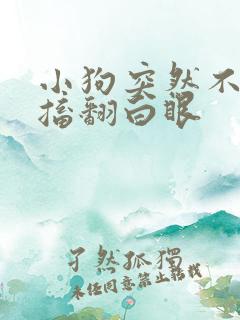 小狗突然不停抽搐翻白眼