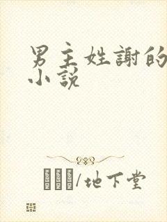 男主姓谢的现代小说