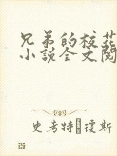 兄弟的校花女友小说全文阅读