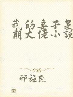 我的妻子是大乘期大佬小说下载