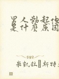 男人勃起但不硬是什么原因