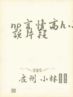 np言情高h小说片段