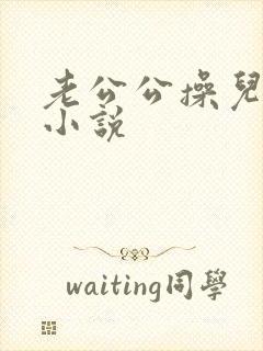 老公公操儿媳妇小说