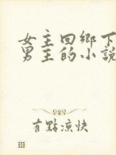 女主回乡下遇到男主的小说