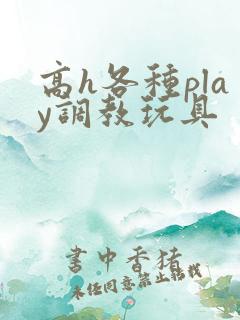 高h各种play调教玩具