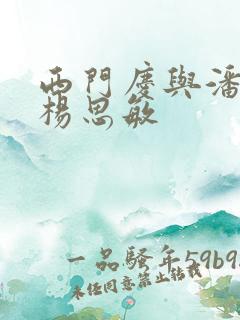 西门庆与潘金莲杨思敏