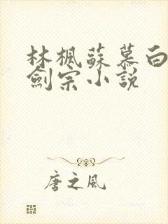林枫苏慕白神霄剑宗小说