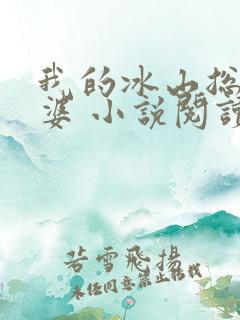 我的冰山总裁老婆 小说阅读