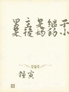 男主是继子女主是后妈的小说