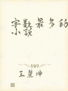 字数最多的网络小说