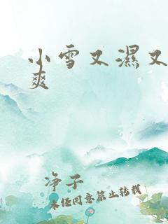 小雪又湿又紧真爽