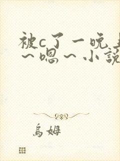 被c了一晚上啊～嗯～小说